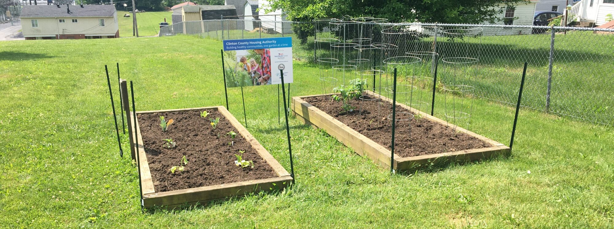 community garden