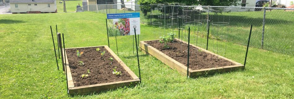 community garden